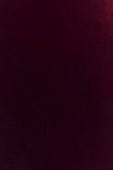 Paulina Velvet Strapless Mini Dress - Wine