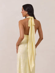 Elegant Dress