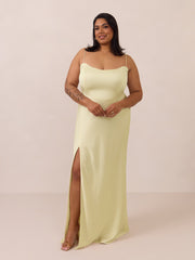 Elegant Dress