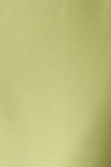 Valentina Chiffon Halter Maxi Dress - Pistachio