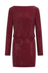 Darius Diamante Cowl Mini Dress - Wine
