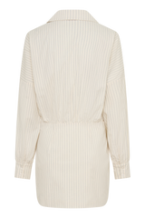 Ivy Oversize Shirt Mini Dress - Stripe