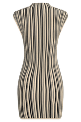 Meggie Striped Sleeveless Mini Dress - Black/Ivory
