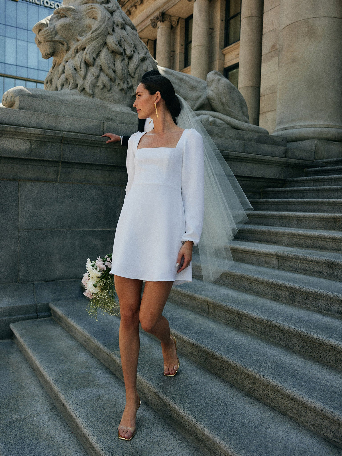 Elegant Dress