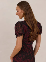 Elegant Dress