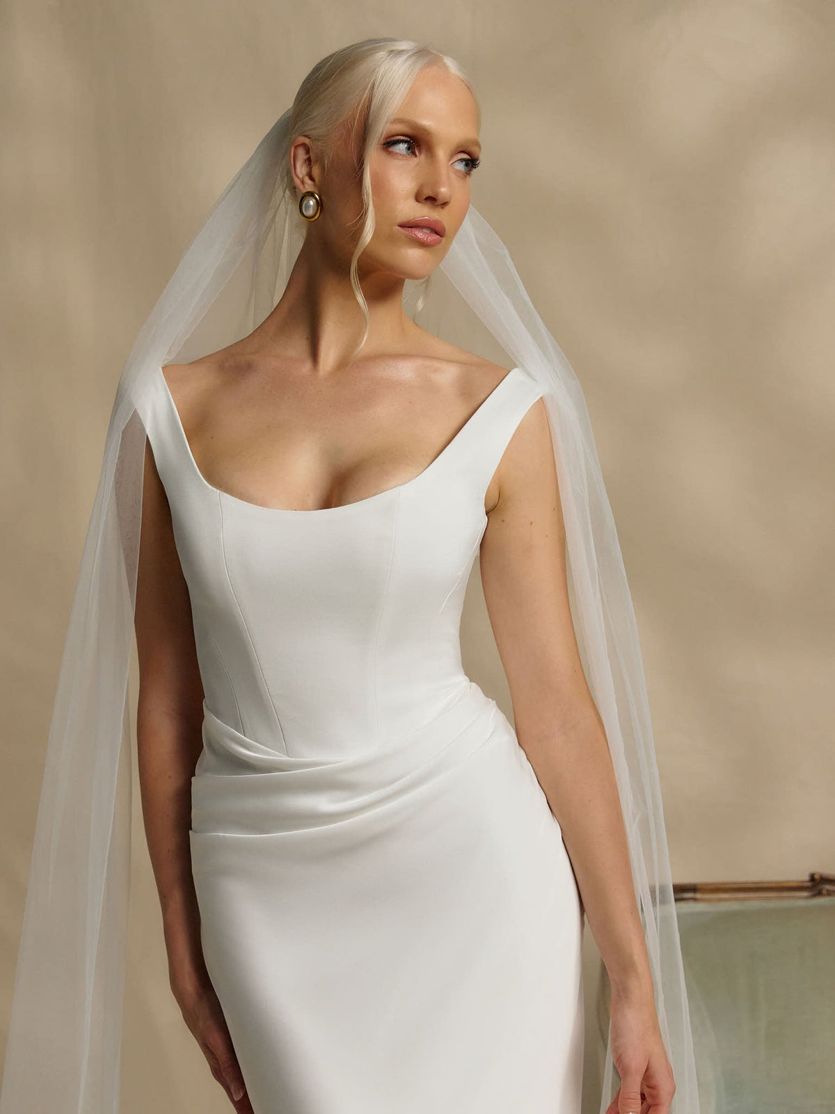 Elegant Dress