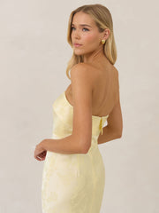 Elegant Dress