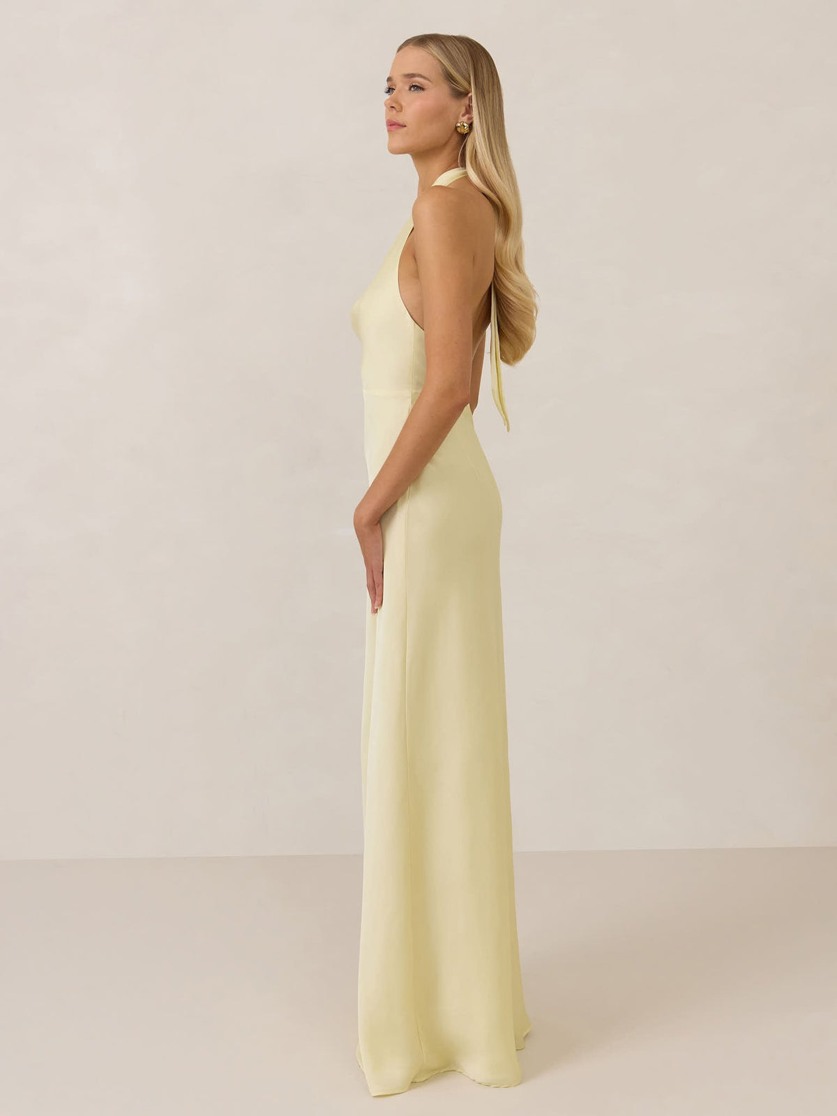 Elegant Dress