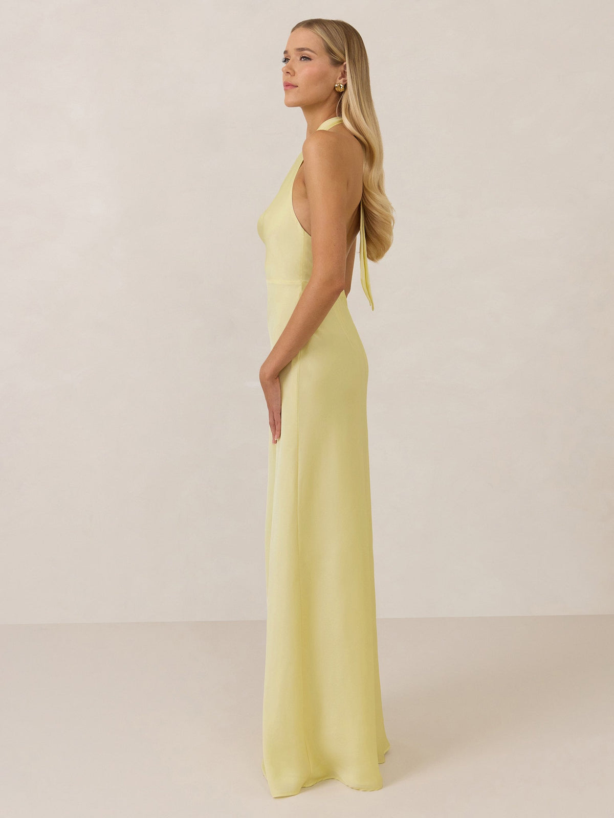 Elegant Dress