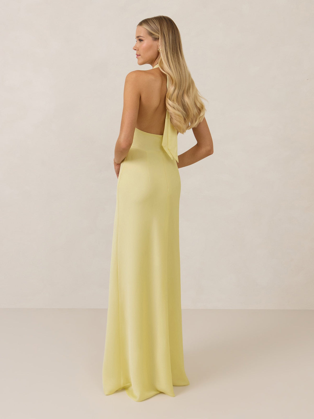 Elegant Dress