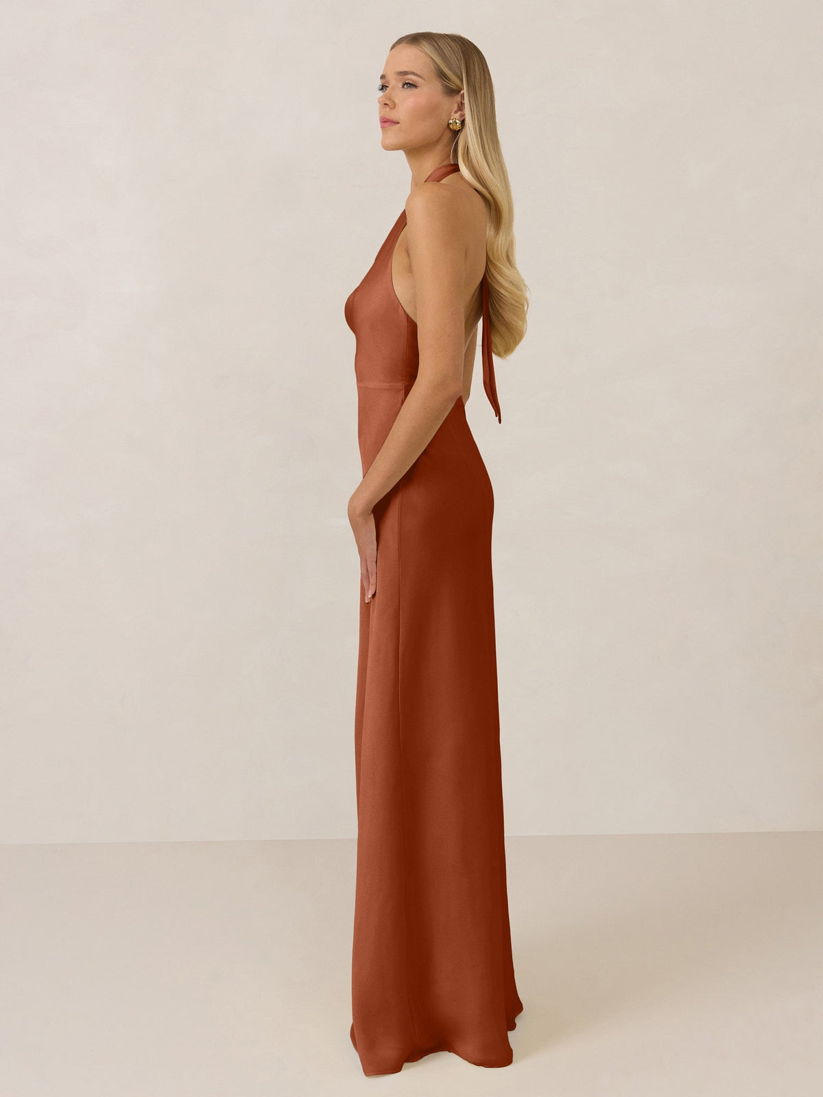 Elegant Dress