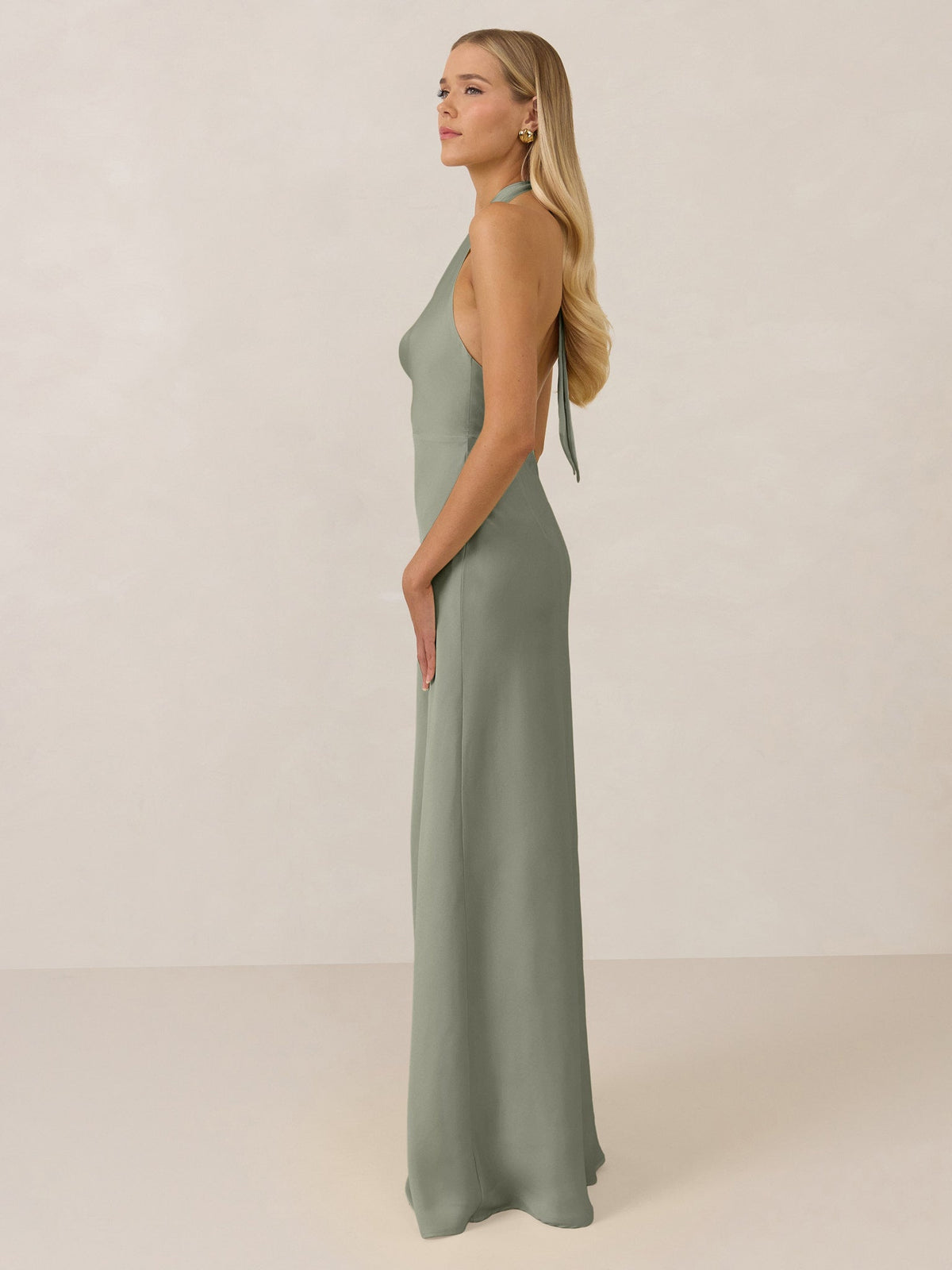 Elegant Dress