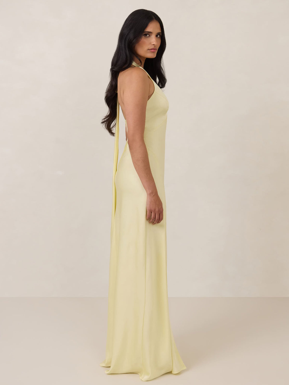 Elegant Dress