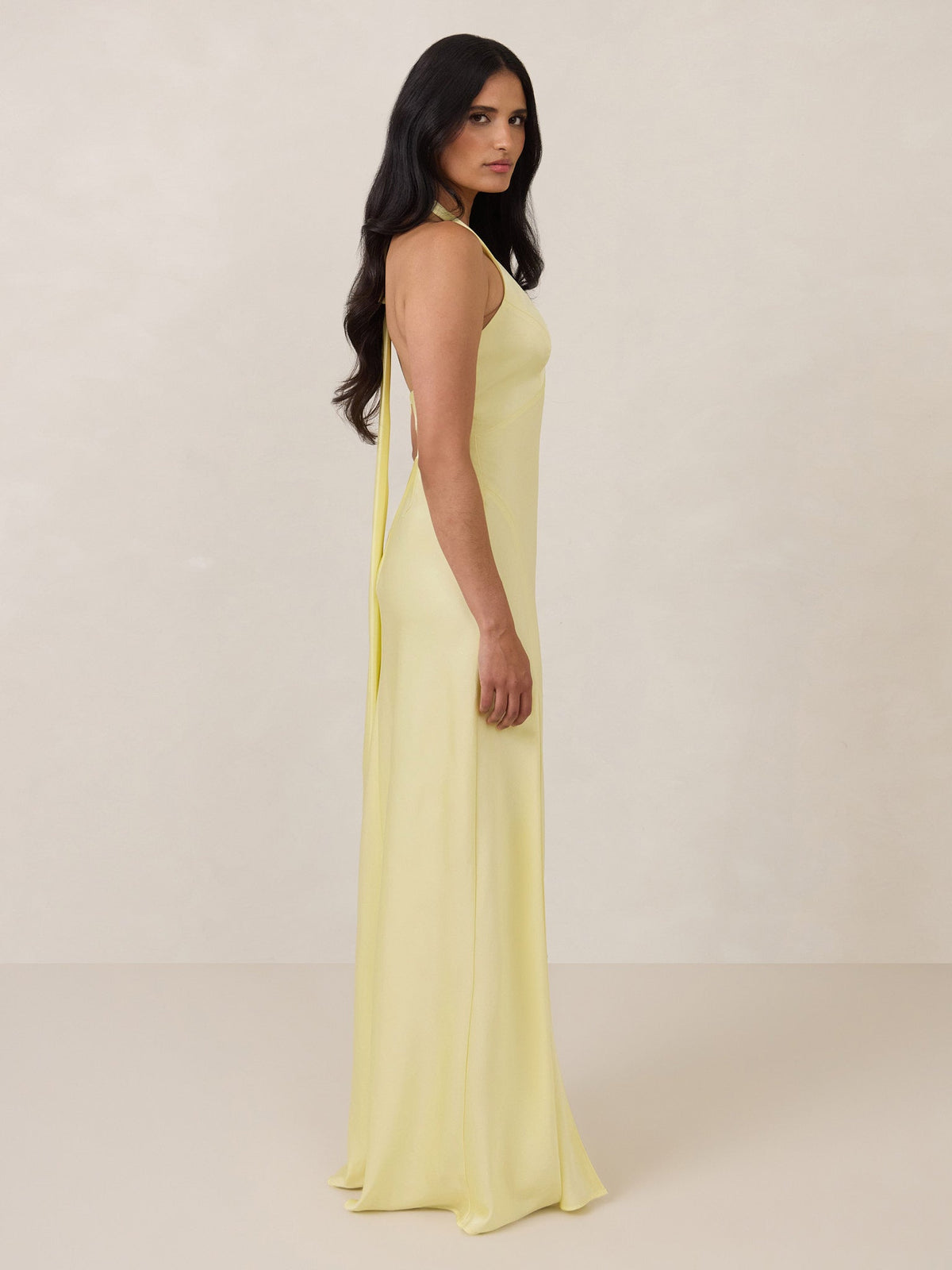 Elegant Dress