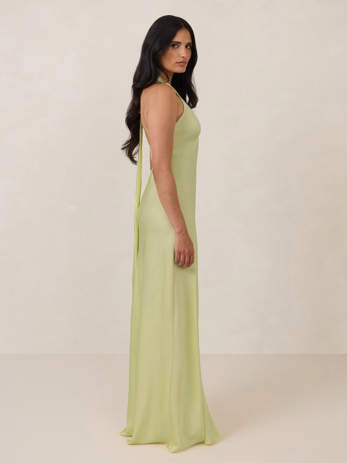 Elegant Dress