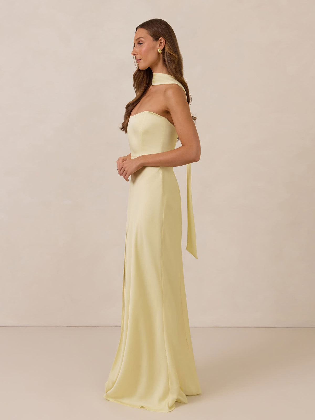 Elegant Dress