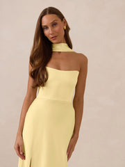 Elegant Dress
