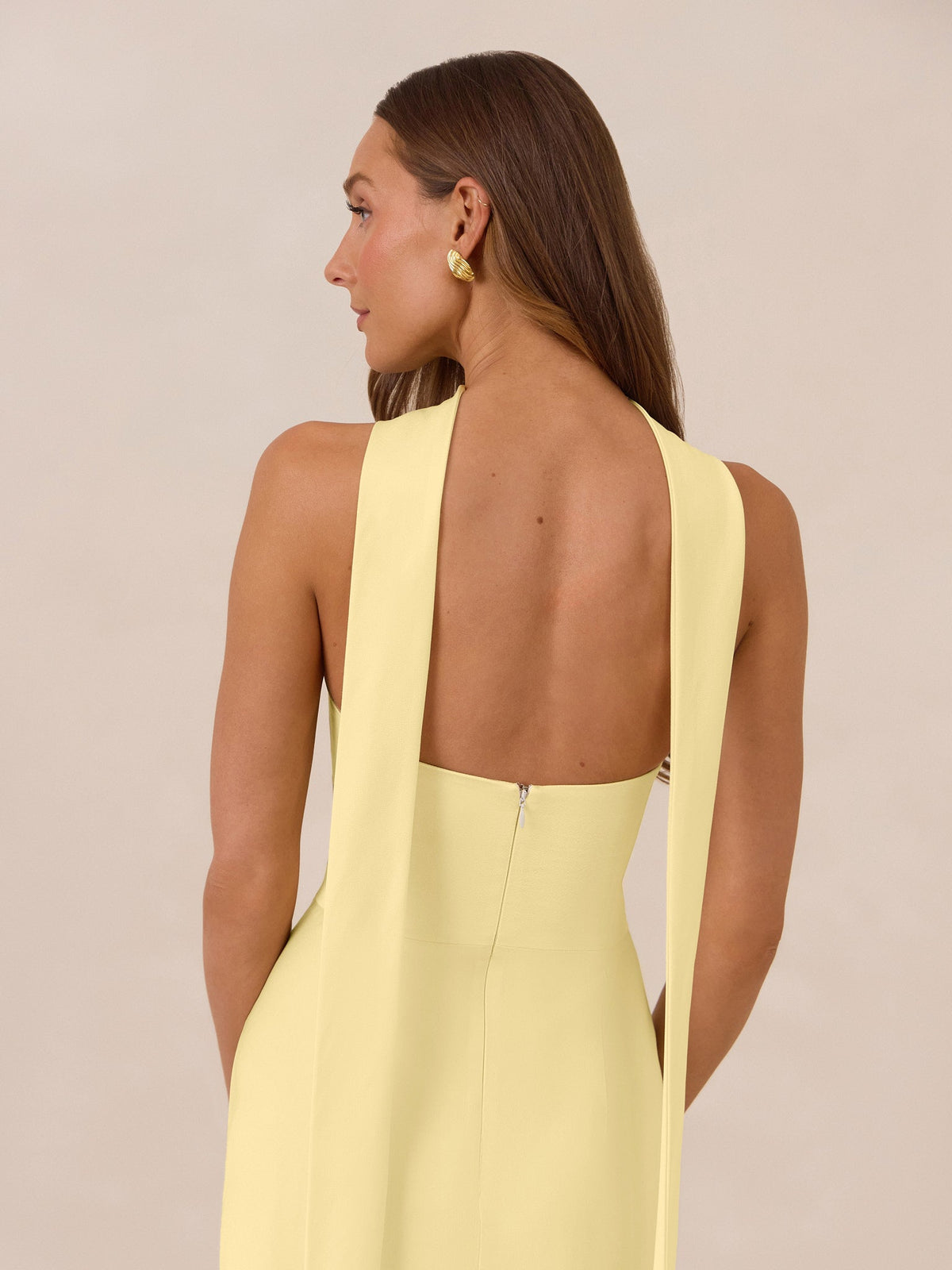 Elegant Dress