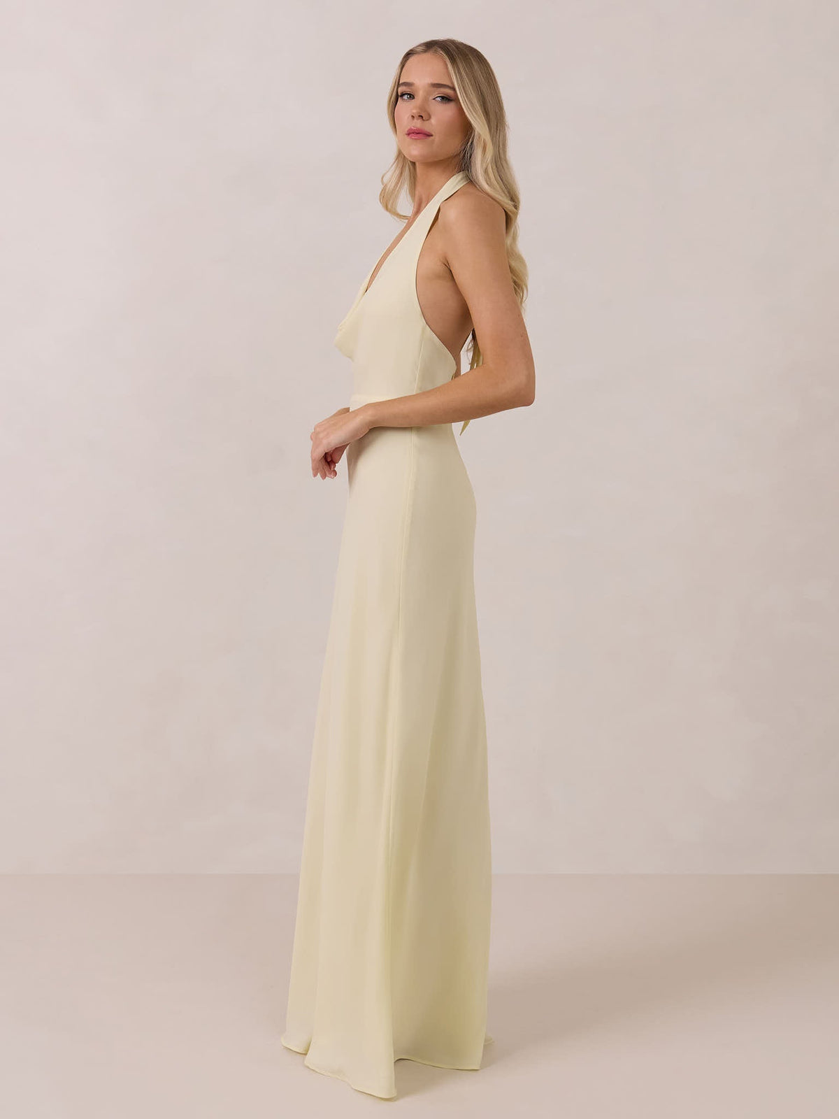 Elegant Dress