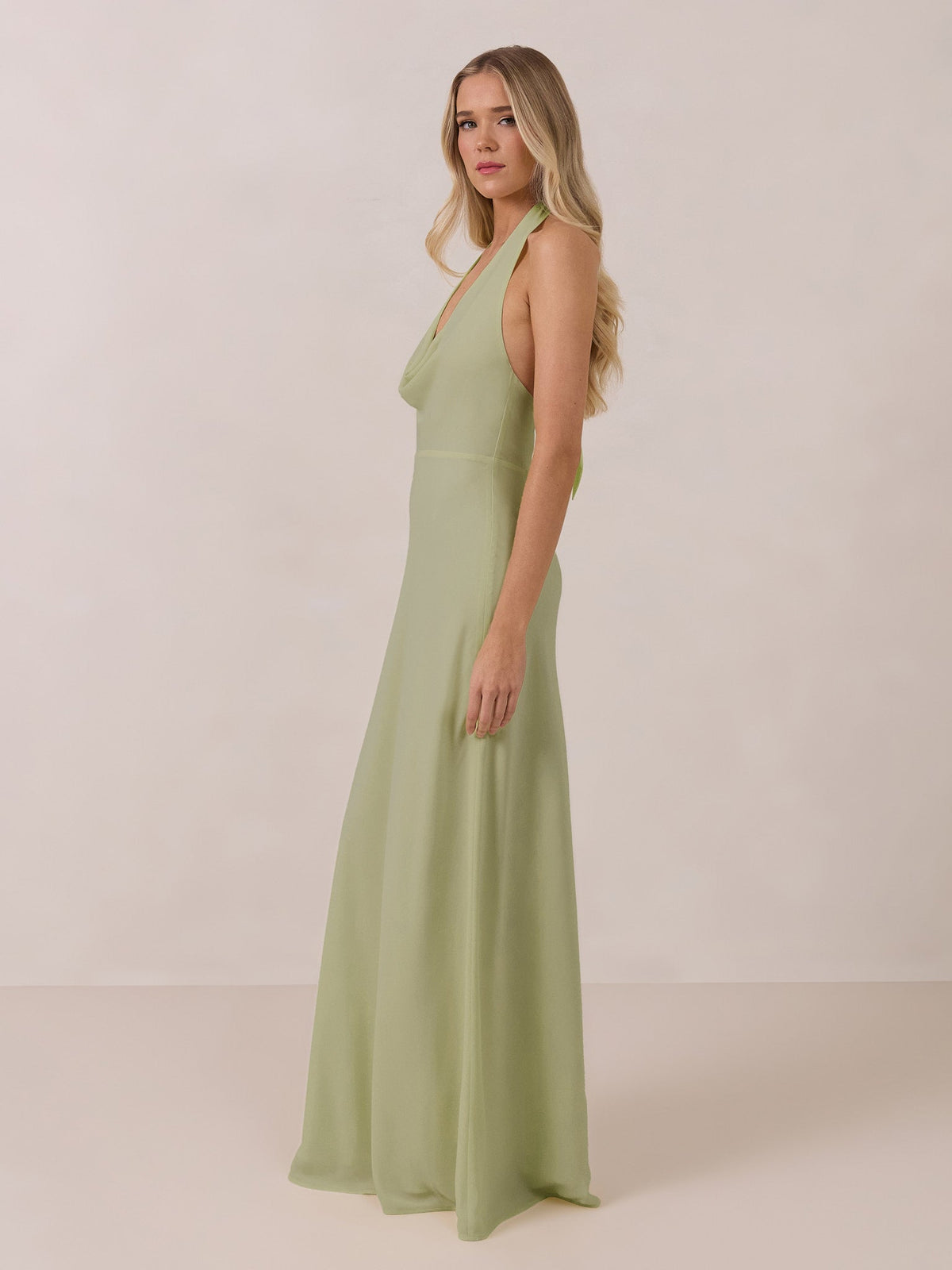 Elegant Dress