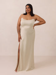 Elegant Dress