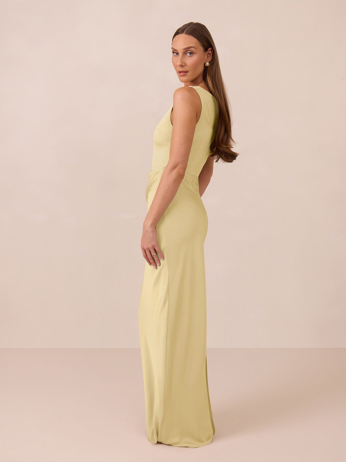 Elegant Dress