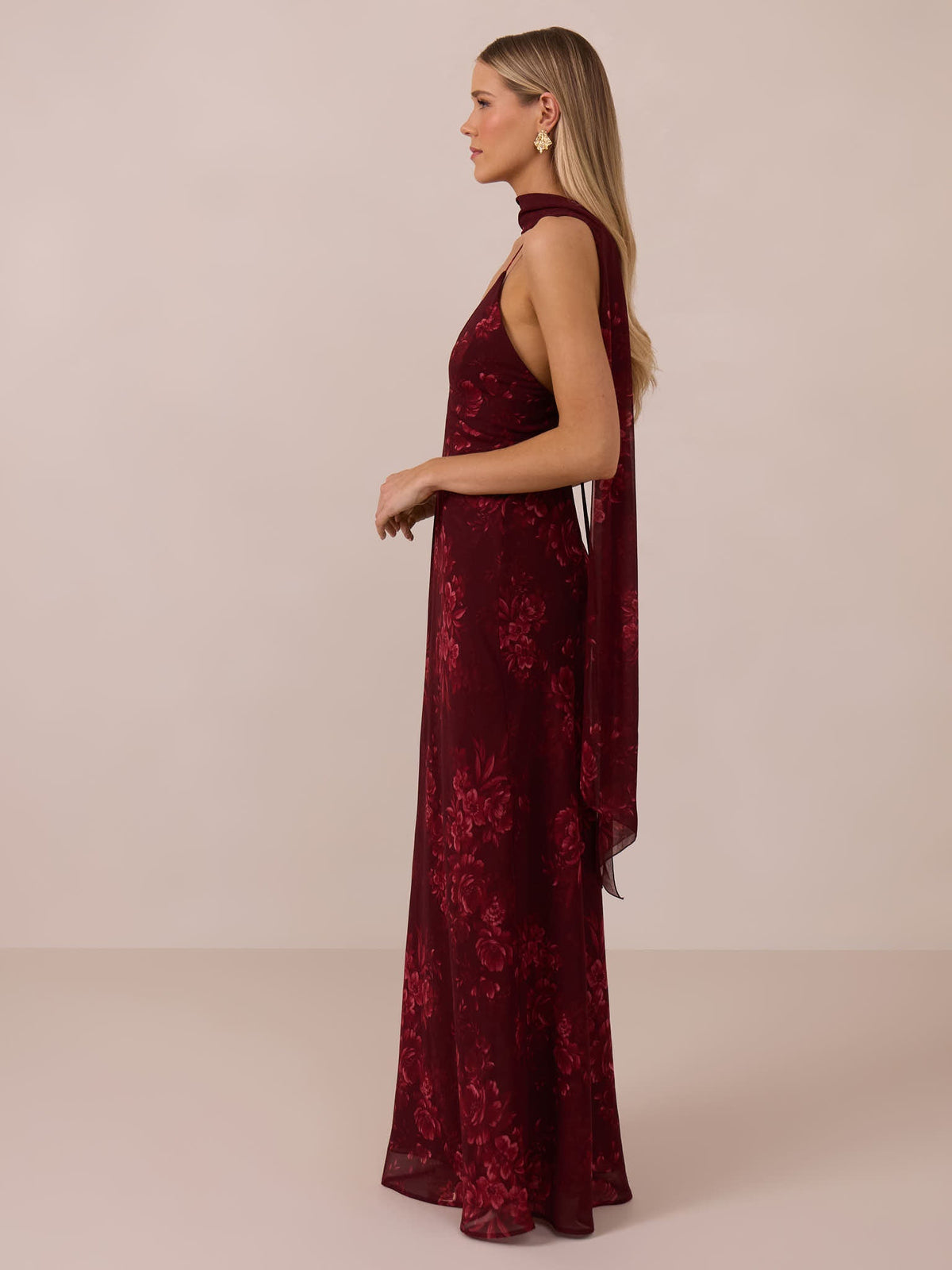Elegant Dress