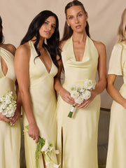 Elegant Dress